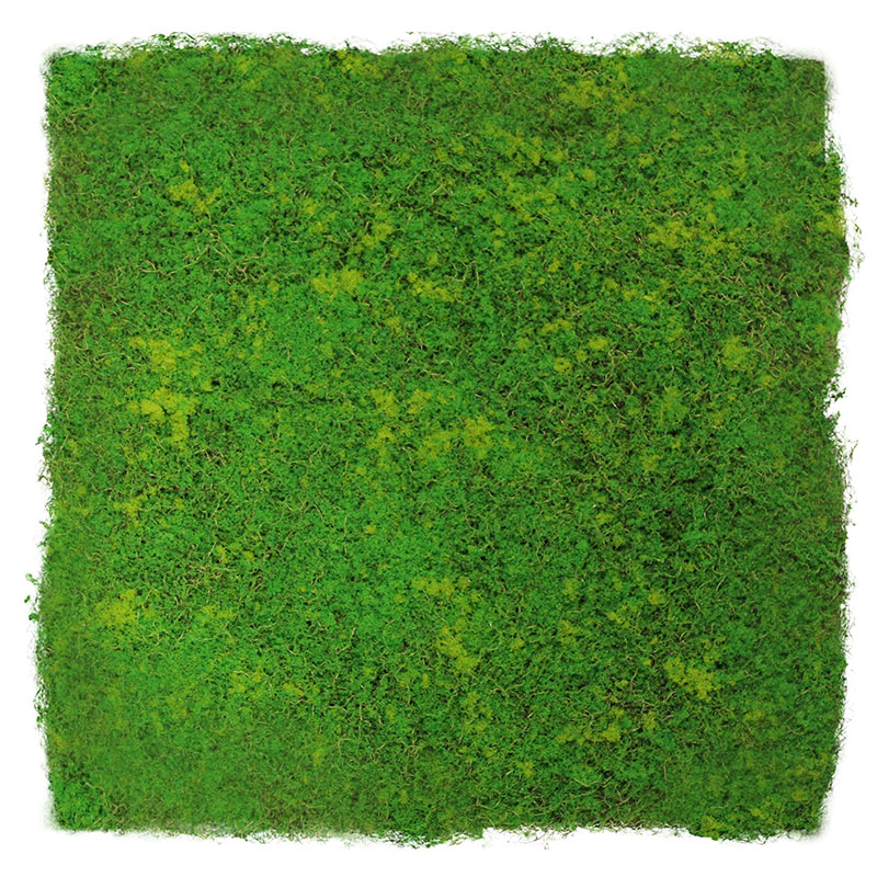 Design Moos Wandpaneel | Modular Wall von Jangal | Light Green Fibre | 520 x 520mm