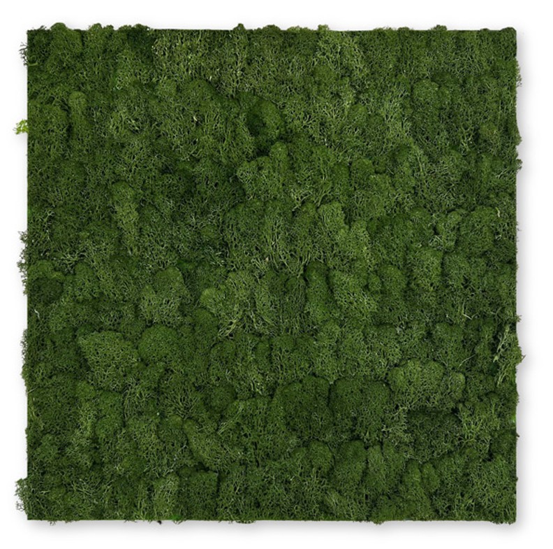 Nature Moos Wandpaneel | Modular Wall von Jangal | Dark Green Moos | 520 x 520mm